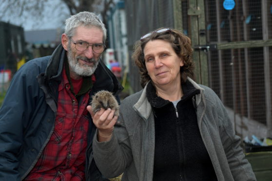 Pauline and Keith Marley have been rehabilitating wildlife at New Arc since 2006, but are now ready to step back.