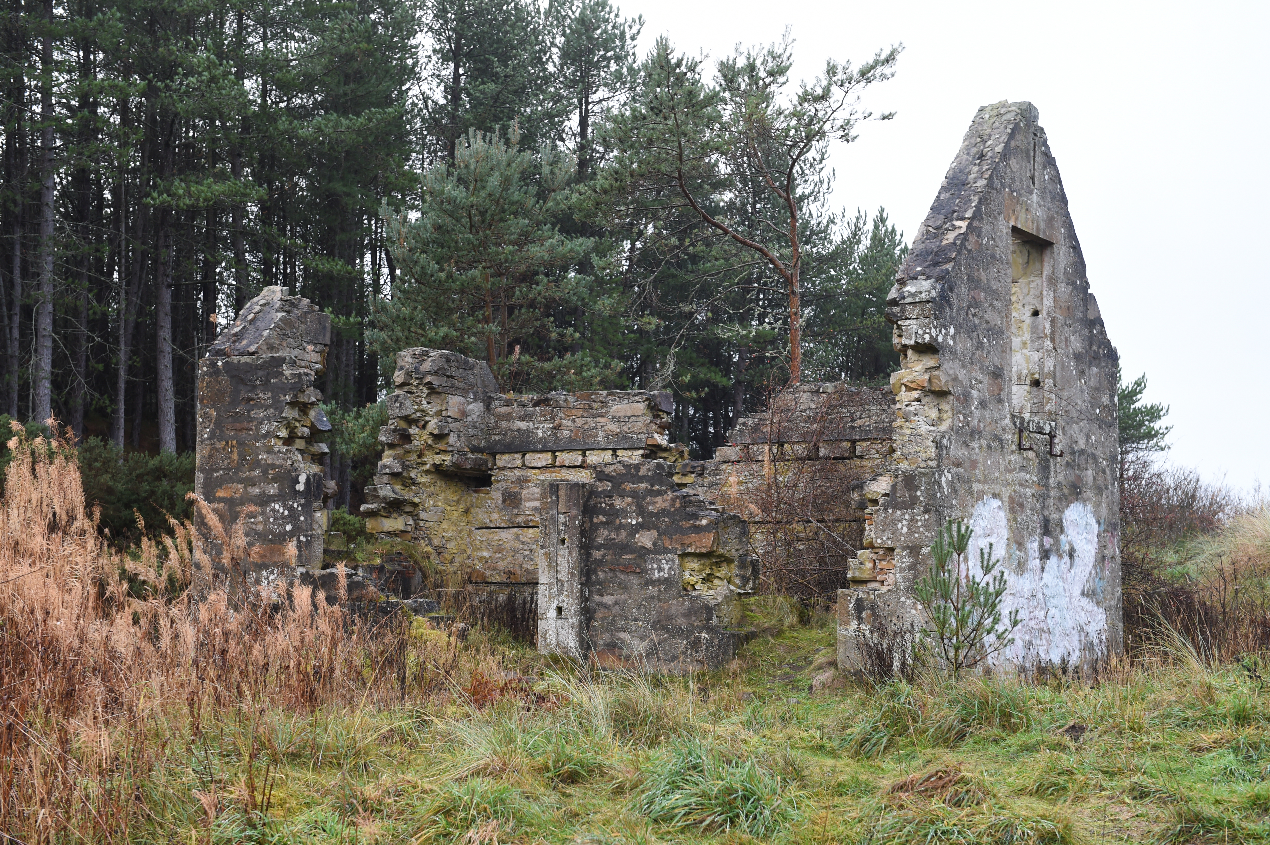 Millie Bothy ruins