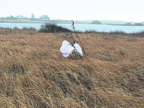 An Aberdeenshire ranger is speaking out about the dangers of balloon releases after finding another bunch entangled at a nature reserve.