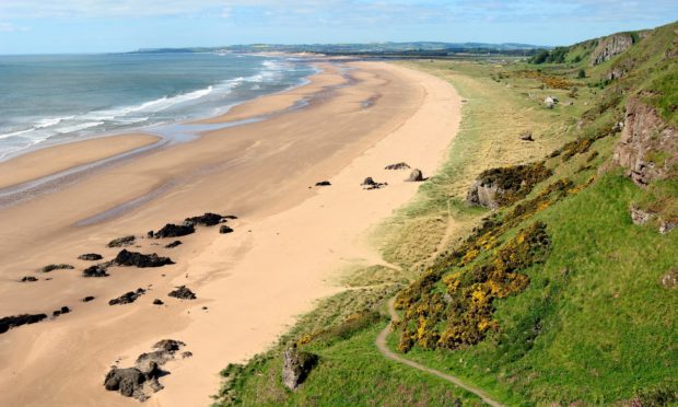 St Cyrus national nature reserve