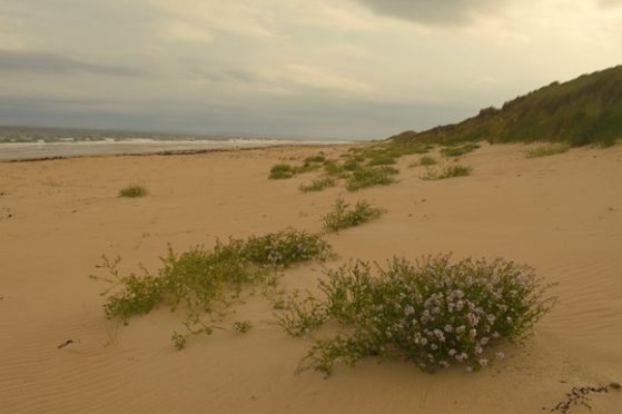 Coul Links near Embo