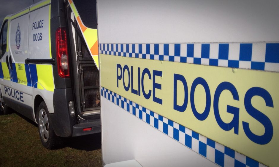 Man threatened to kill police dog, then officers and their families