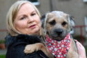 Alison Milne, who was attacked by a dog, with her border terrier Brodie