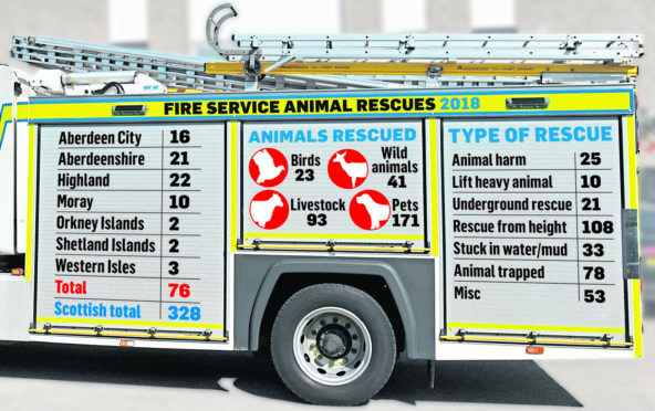 The fire service has been involved in a number of animal rescues