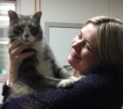 Sam, the tabby and white coloured tom cat who has been missing for four years.