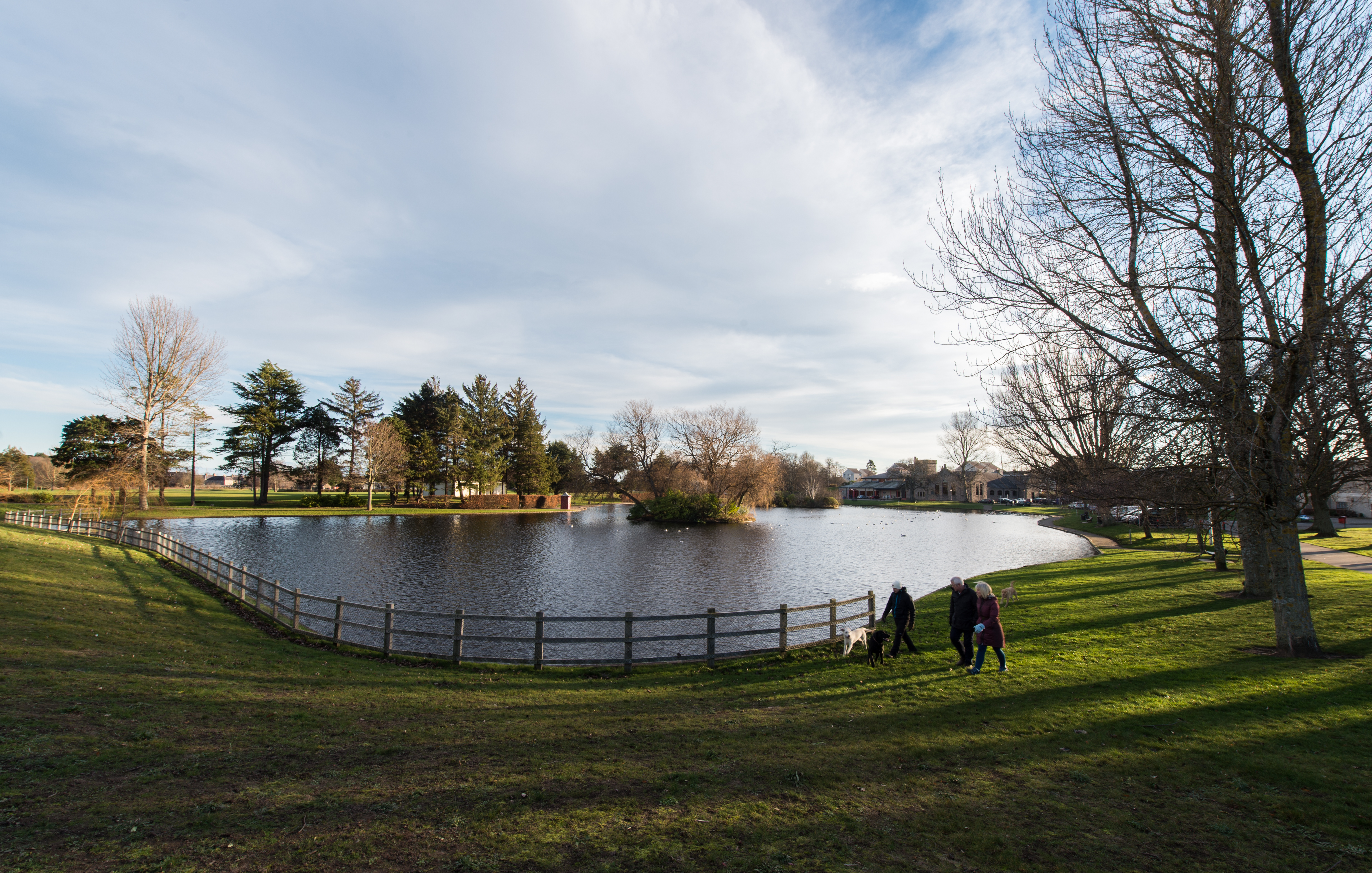 Cooper Park pond
