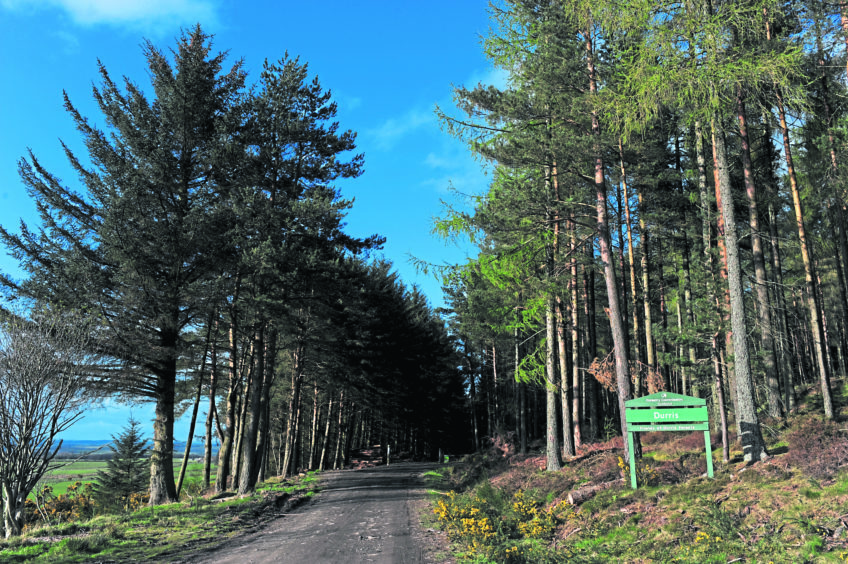 Plans for £14 million outdoor activity centre at Durris Forest are unveiled