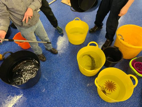 The critters from Buchanhaven Boat Shed Aquarium before their move to Macduff Marine Aquarium