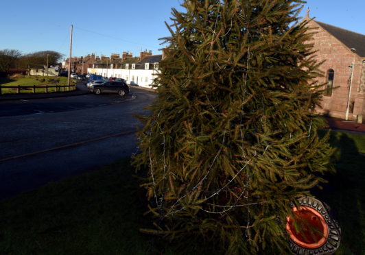 The vandalised christmas tree on Harbour Road, Cruden Bay. 
Picture by Jim Irvine  28-12-18