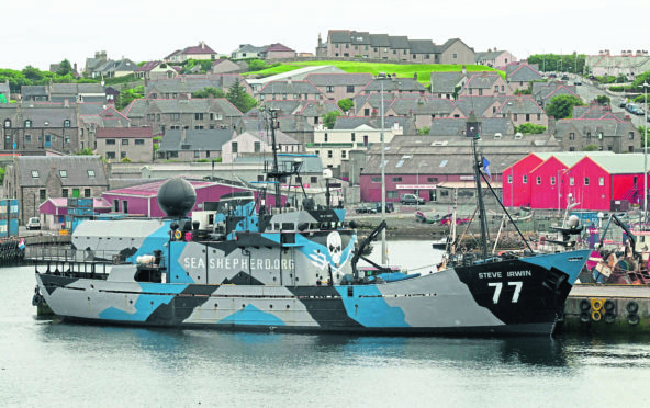 Sea Shepherd boat " Steve Irwin " in Lerwick Harbour