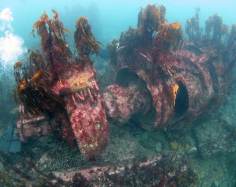 Remnants of the V81 German Battleship