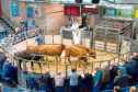Aberdeen and Northern Marts (ANM) deputy head of livestock, John Angus, selling cattle at Thainstone.