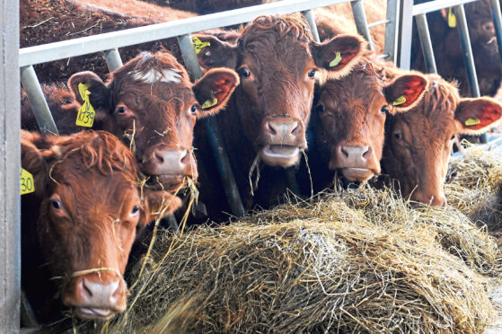 Farmers taking part in the BES were sent warning letters in error.