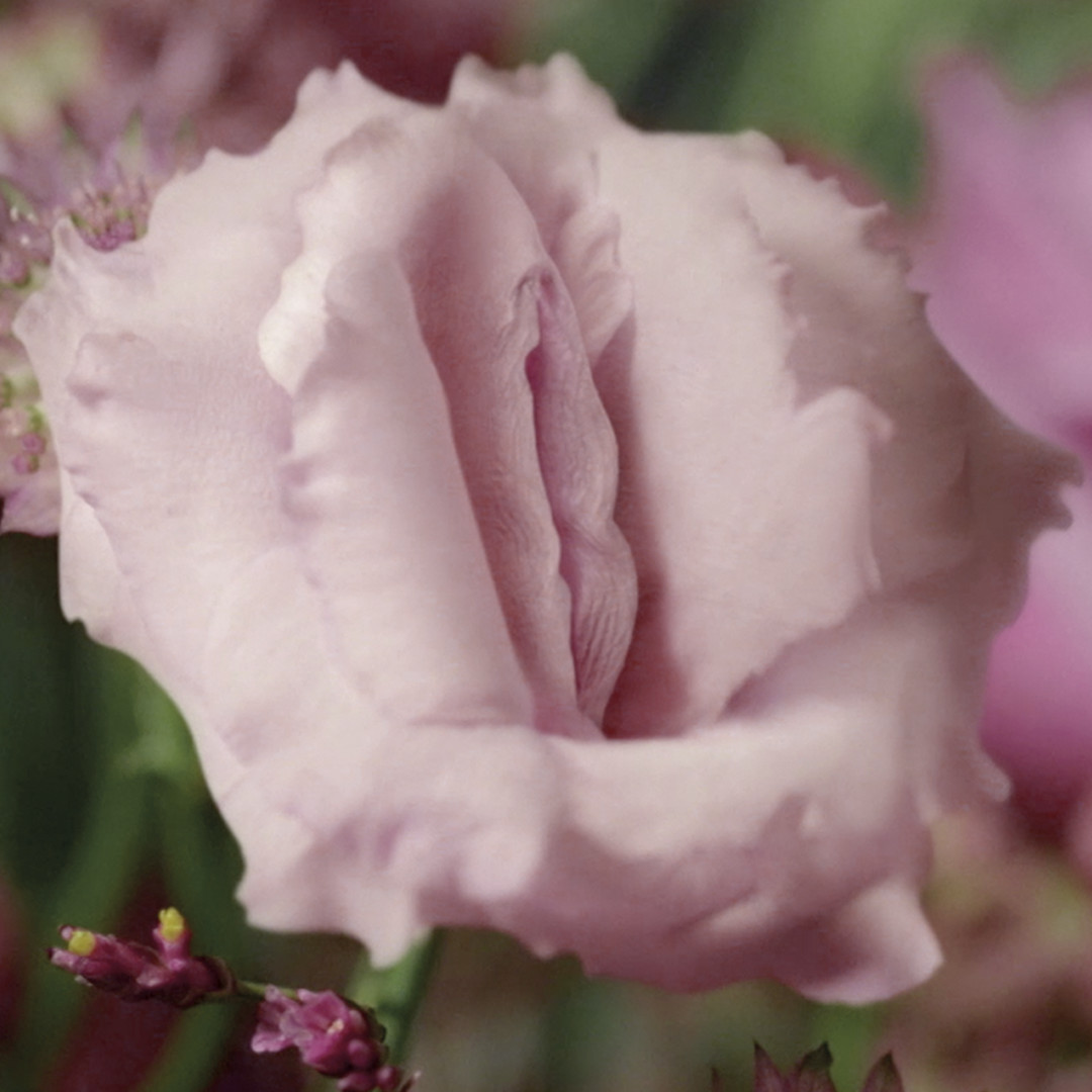 The Flower campaign encourages women to go for smear tests.