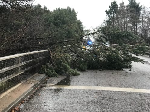 Tree down on south entrance to Stonehaven at Kirkton flyover - submitted by reader
Jim Smith.