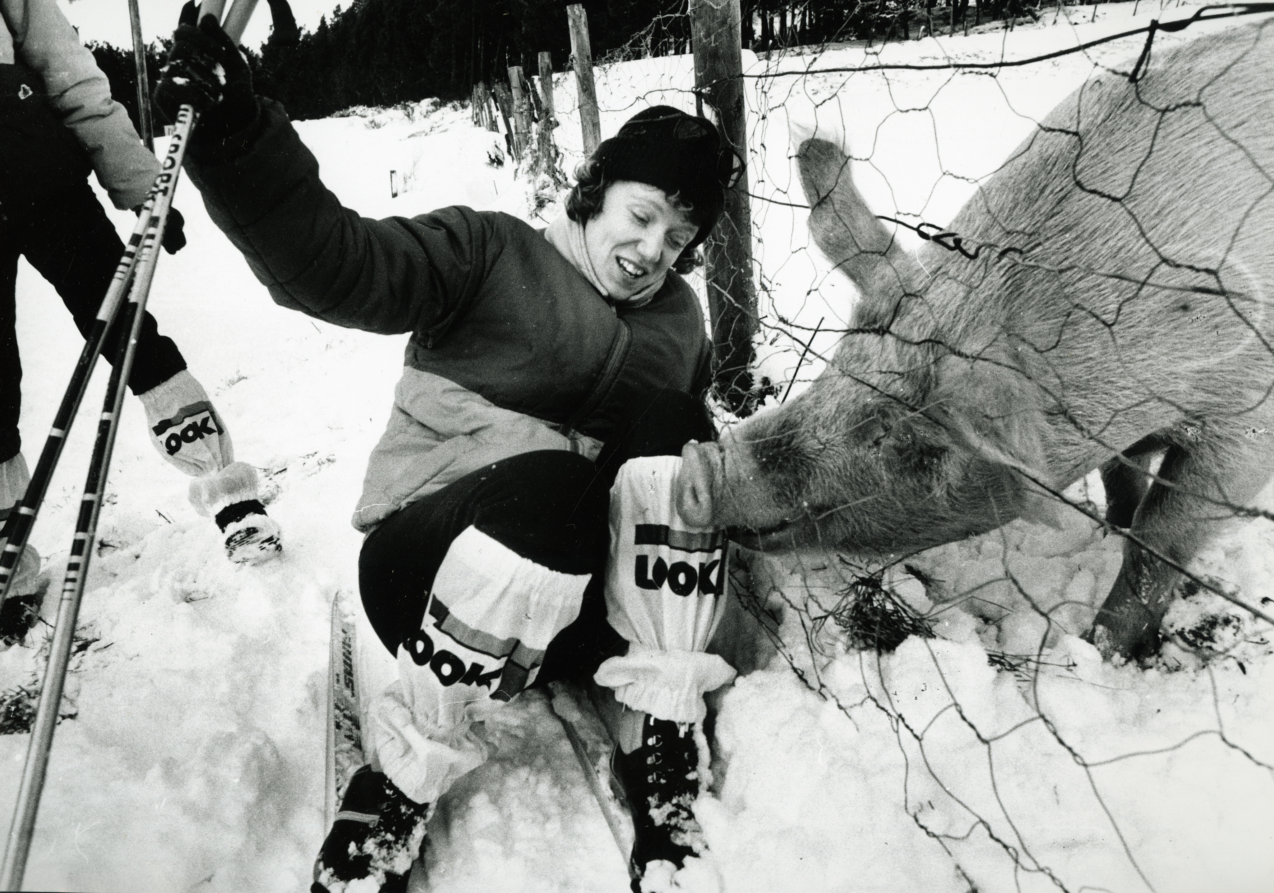 Jill Davidson found the snow was not her only adversary when she met up with Porker the pig, while skiing near the Allargue Hotel, Corgaff.