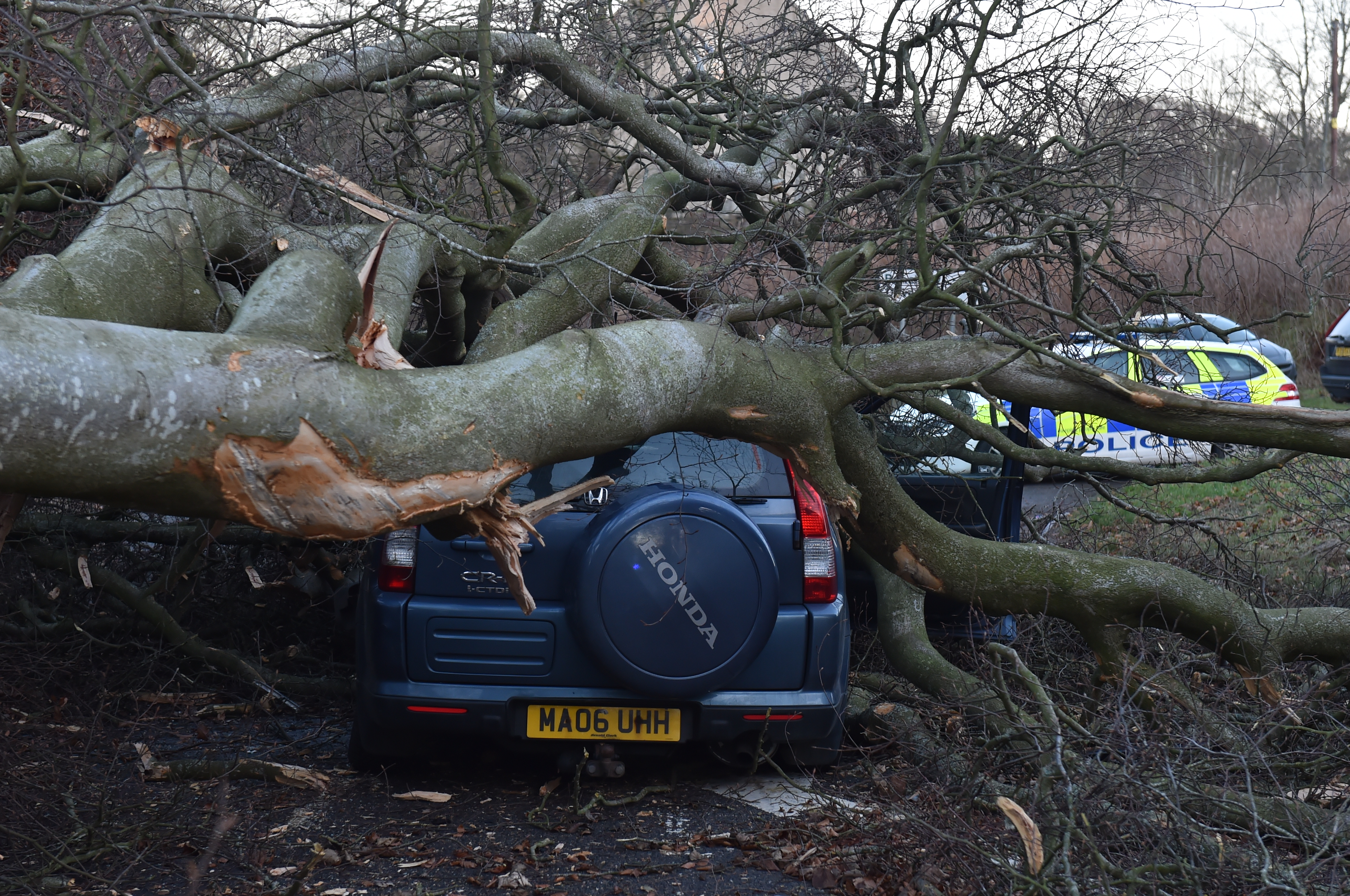 A tree crashed through a car in Aberdeen as high winds buffeted the region on Monday