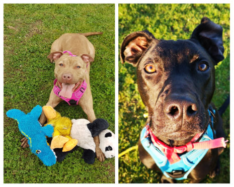 Naomi, left and Ruby, right, have been at the centre for almost a year.