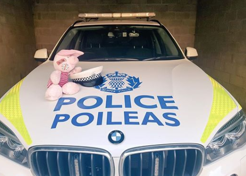 Piglet was found on the Aberdeen bypass.