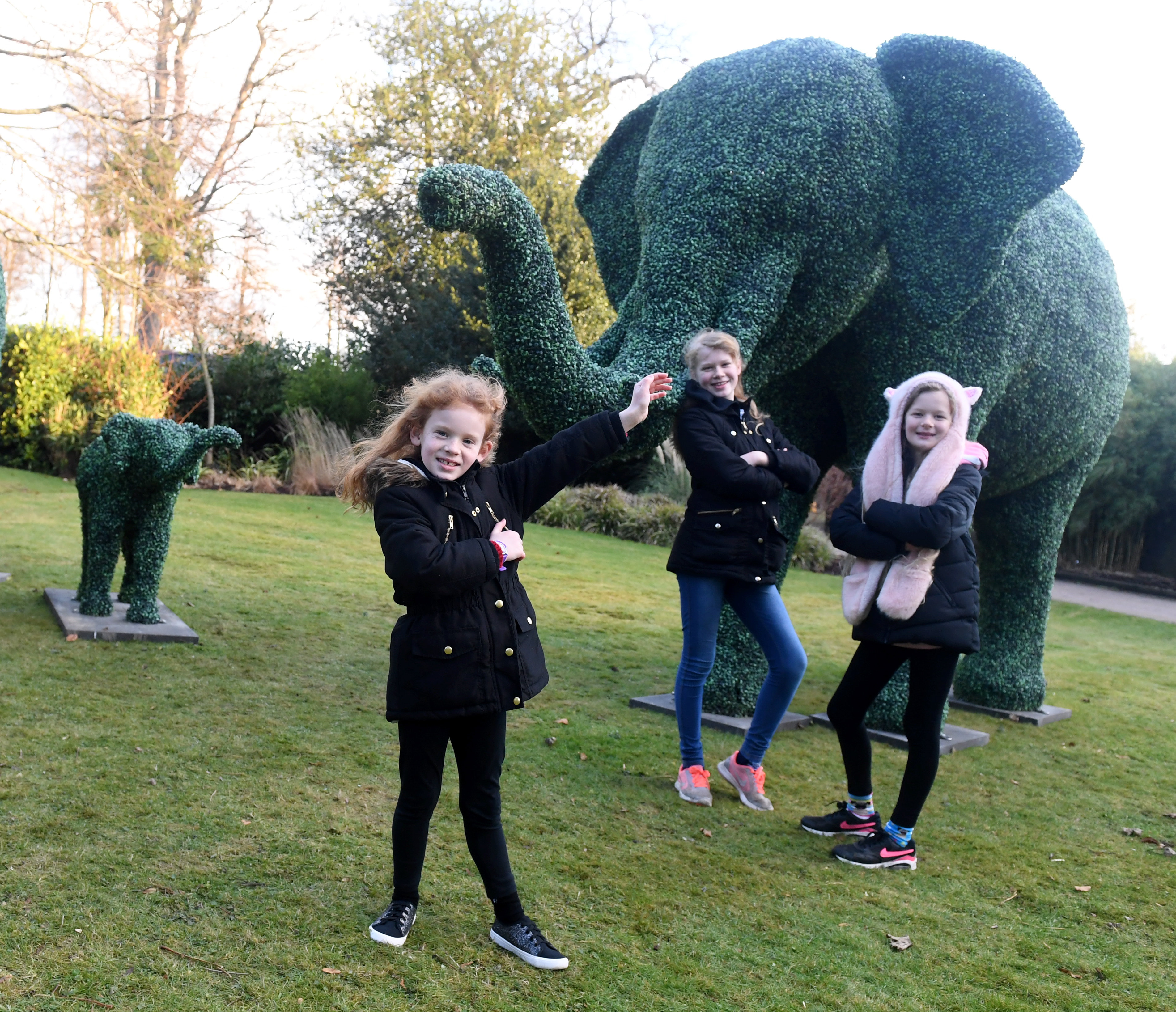 Bonham sisters, from left, Phoebe, 7 Emily 11 cor and Lucy 9 with the animals.