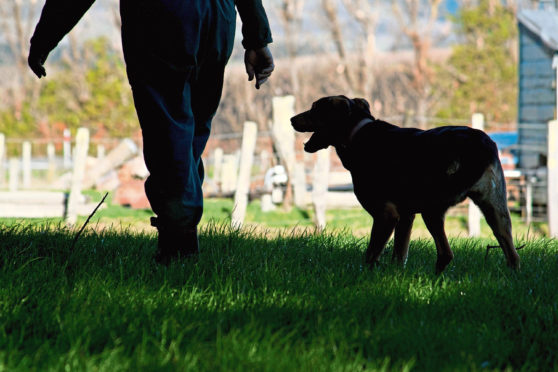 Mr Moody told farmers to focus on preparing their businesses for change.



thinkstock