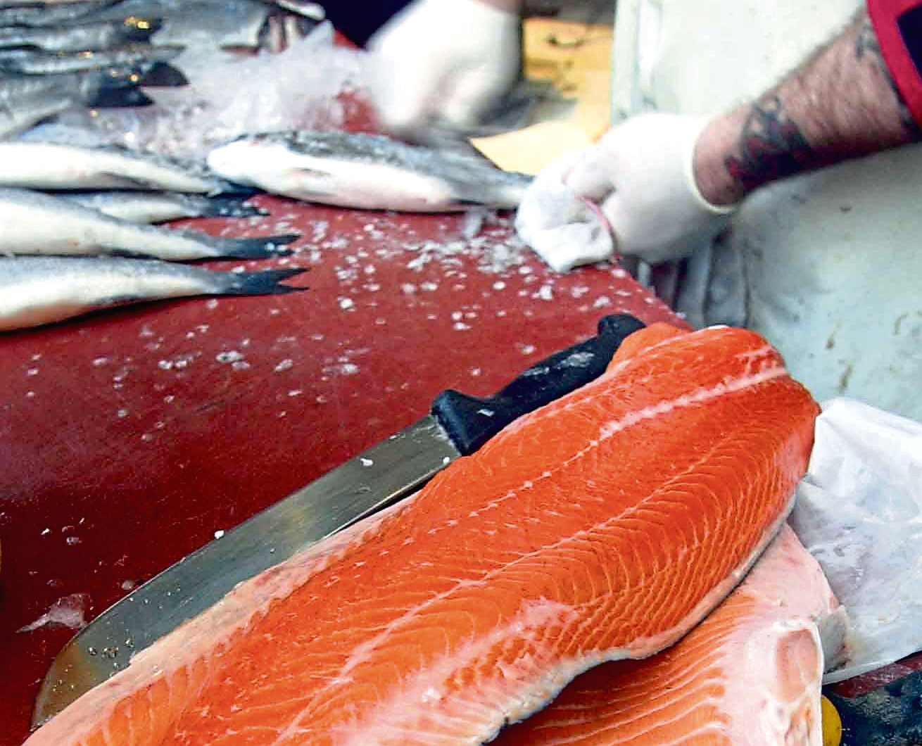 Salmon fillets on sale at a local fish market
