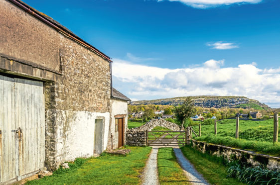 Farm buildings
An old barn in Cumbria on a sunny day.