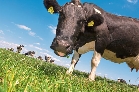 Arla buys milk from around one in four UK dairy farmers.
