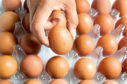 Industry leaders want consumers to move away from their obsession with large eggs.