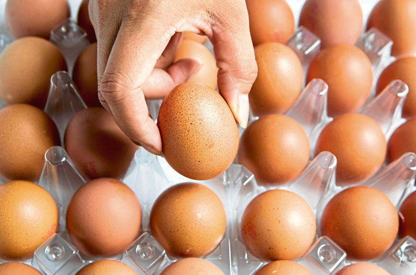 Producers in fresh bid to sell more large eggs
