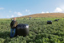 Shetland farmer Jamie Leslie