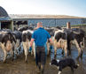 Average dairy farm incomes were up due to a boost in the milk price last year.