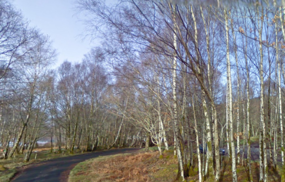 A general view of the proposed site for the butterfly reserve.