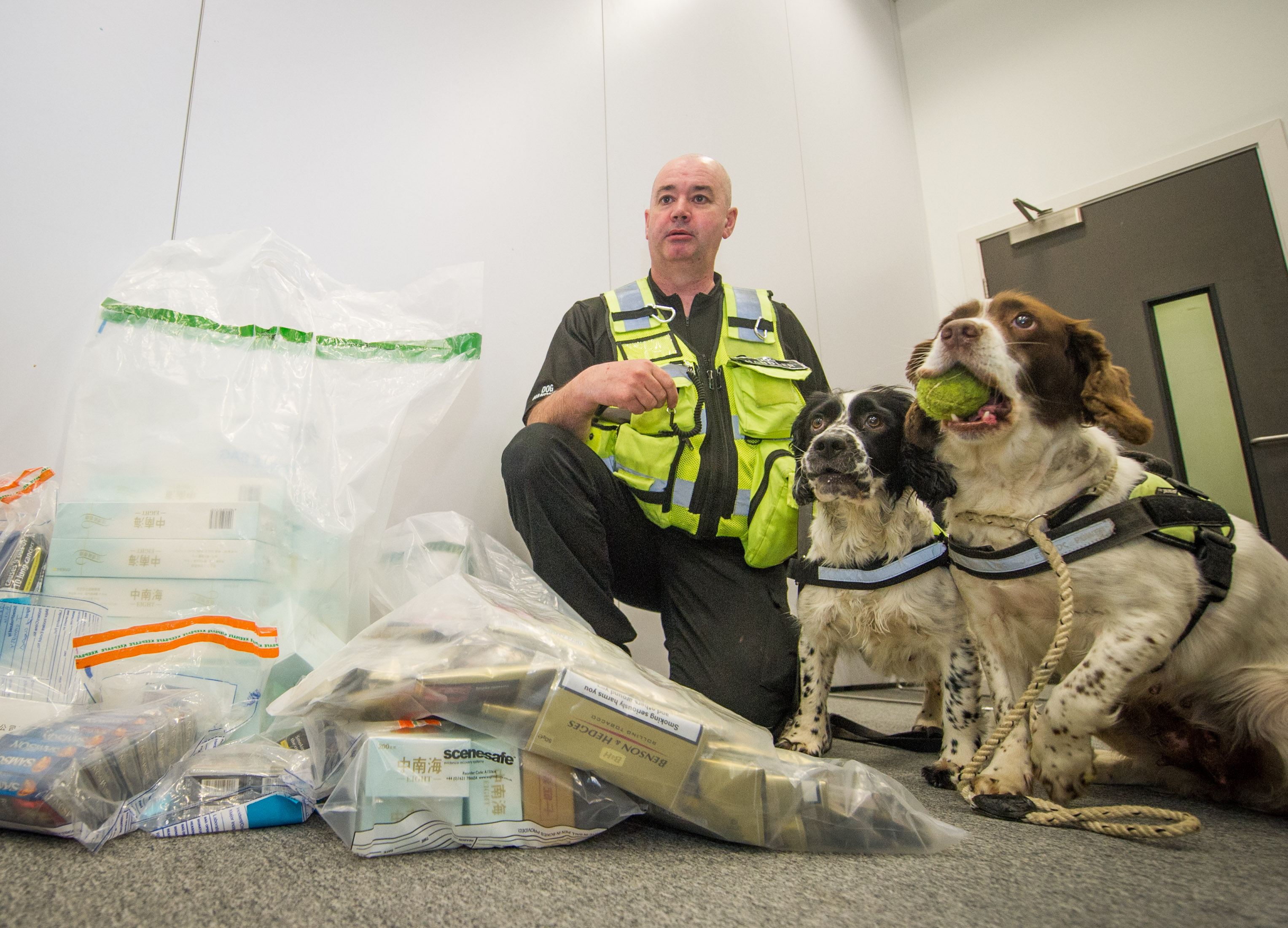 Picture by JASON HEDGES    

PC Bobby Craine (Dog Handler) is pictured with his sniffer dogs Spaniels Daisy (Black & White) and Dixie (Brown) with counterfit cigarettes in the Moray Council Annex buildings.
Pictures - Jason Hedges