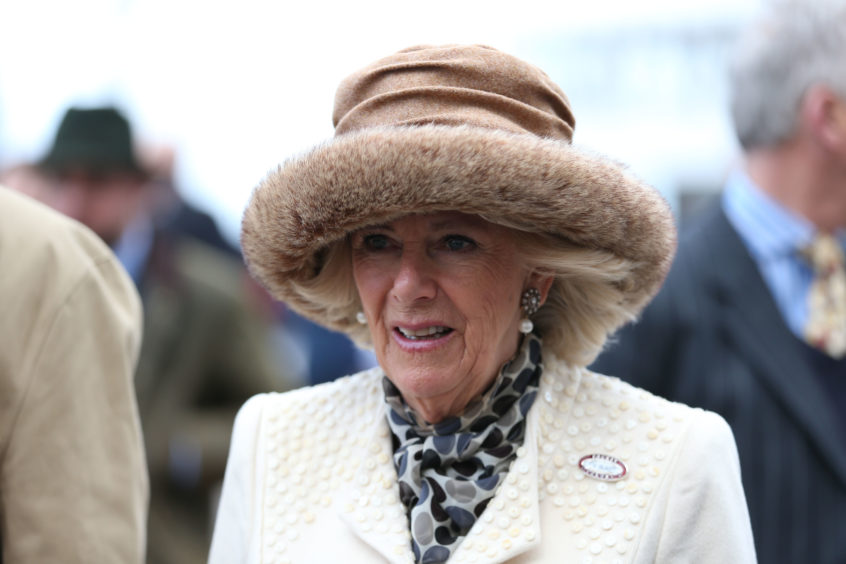 The Duchess of Cornwall attends Ladies Day.