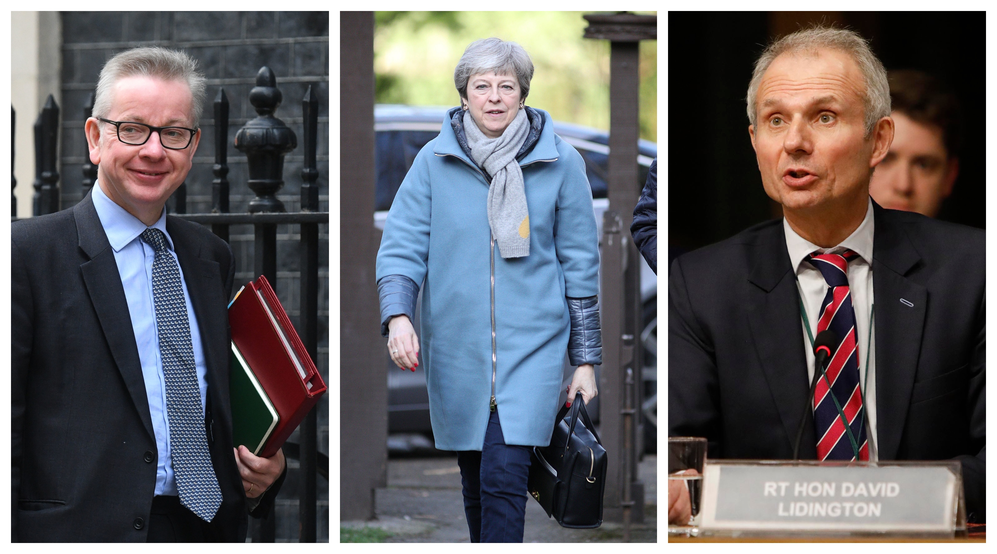 Stuck in the middle with you: Michael Gove and David Lidington both restated their backing for the Prime Minister