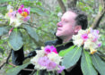 Head Gardener at Inverewe Kevin Ball with the newly flowered 'Flora Pi Lo' which has appeared for the first time this year.