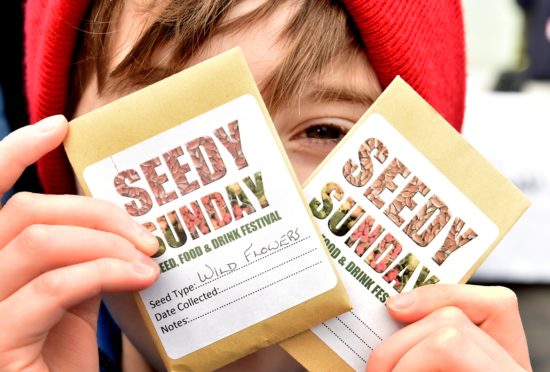 Scott Macpherson, 8 chooses some seeds at the Seedy SUnday festival in Aden Country Park.
Picture by COLIN RENNIE   March 17, 2019.