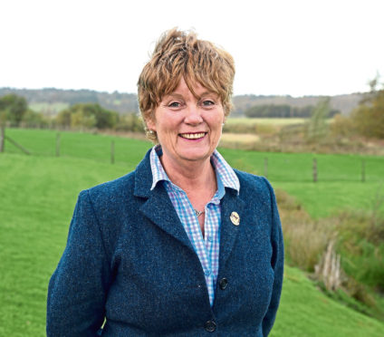 Cathryn Williamson - new president of the Beef Shorthorn Cattle Society