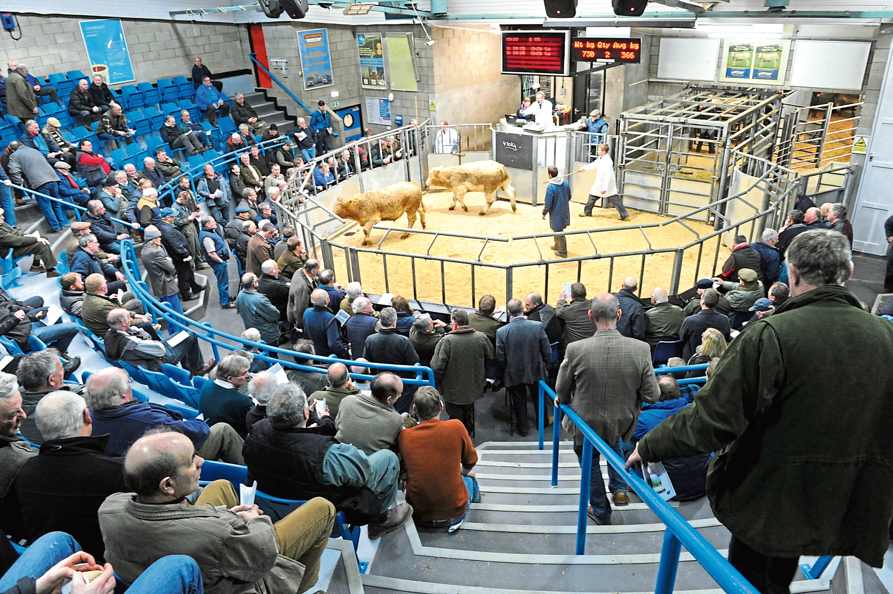 The study is looking for views on livestock auction marts across the UK.