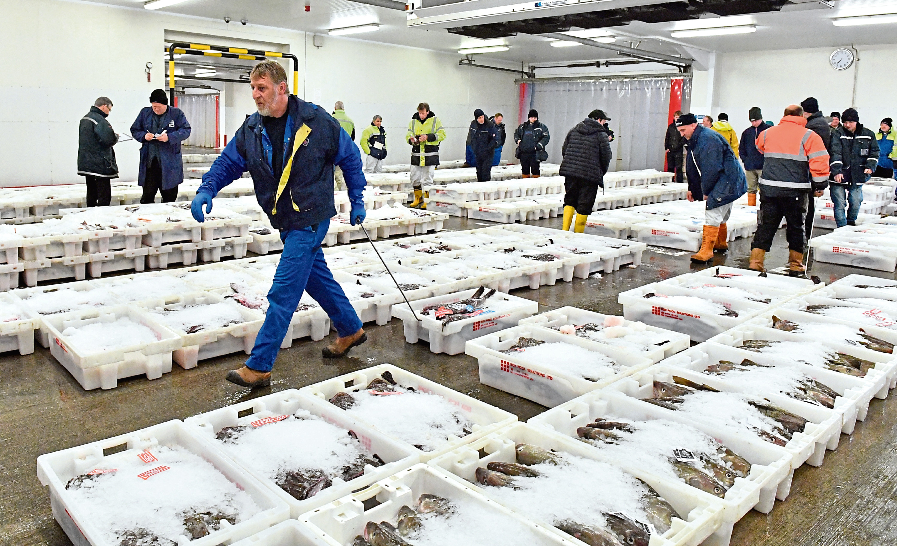 Fraserburgh Harbour Fish Market.   
Picture by Kami Thomson