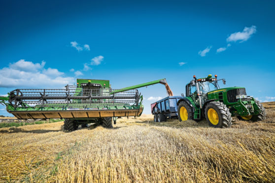 Average wheat yields were up 28% on last year.