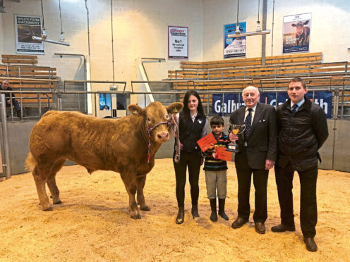From left, Adele Irvine and brother Rhudi with her champion Charolais cross bullock which sold for £1,390, pictured with Harold Murray presenting the Harold Murray cup and judge Gary Raeburn