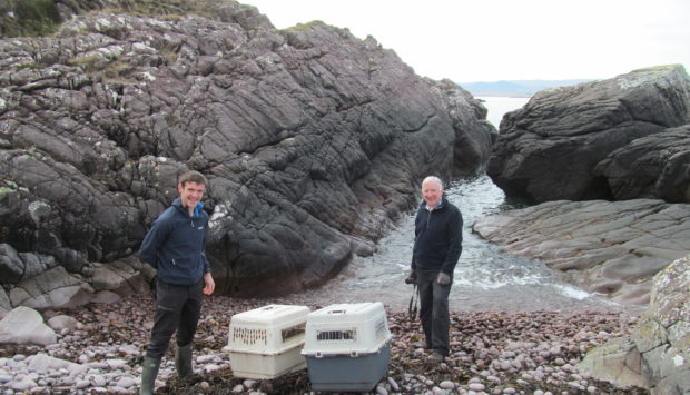 Ben and Paul Yoxon with Aeris and Beatha prior to their release near Aultbea