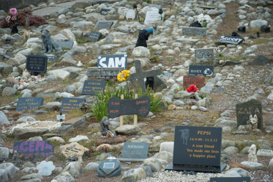 Cullen pet cemetery