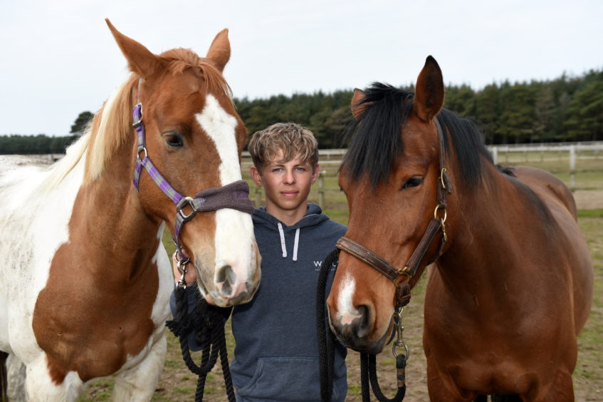 17-year-old teenager Reagan McHardy turns his back on university to instead follow his dream by becoming the owner of established Elgin horse-riding centre Equus, near Elgin.

Picture by KENNY ELRICK     11/04/2019