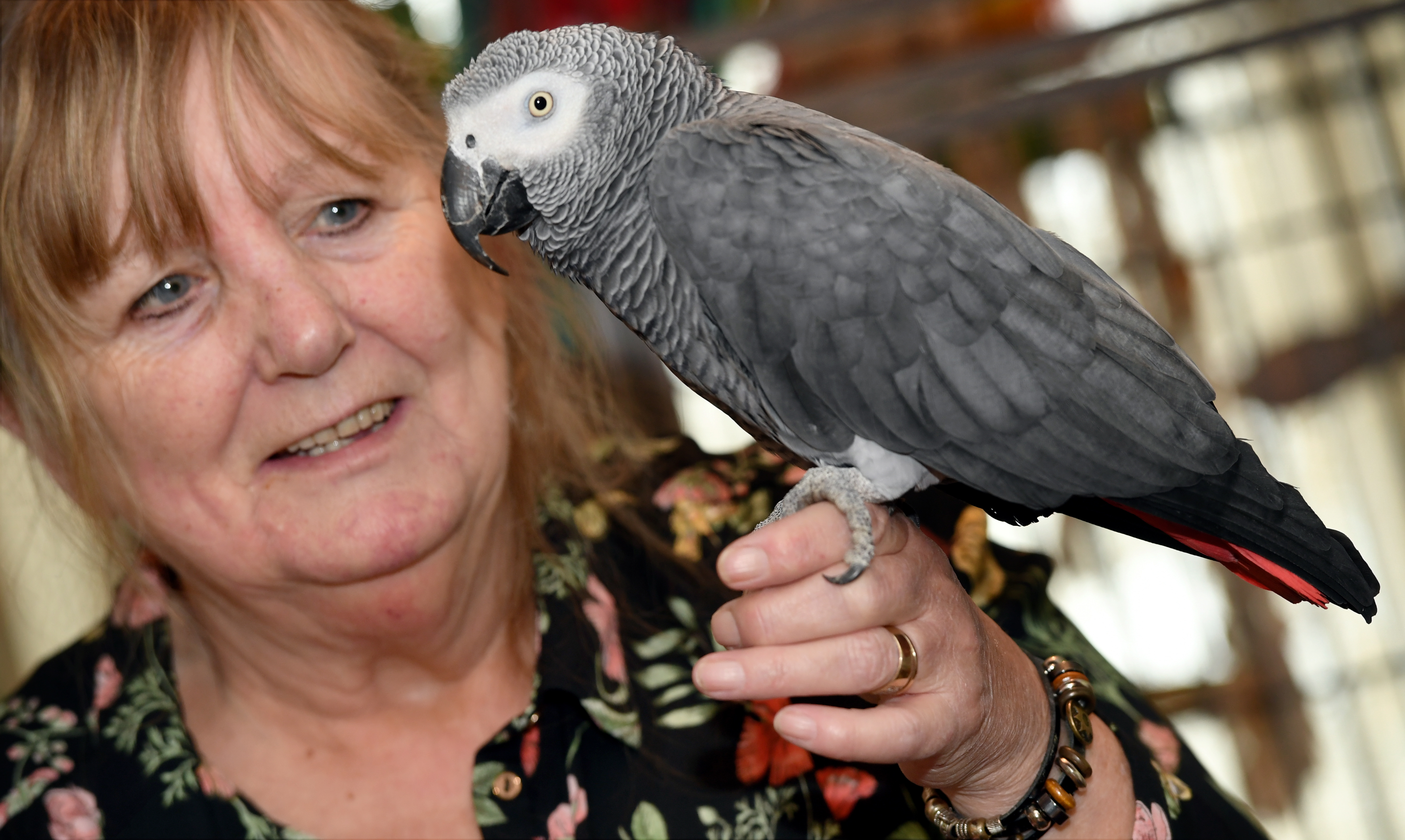 Maggie Packer pictured with Luke, an African Grey Congo.