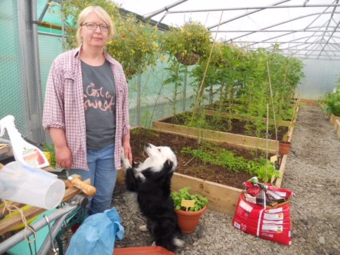 Scottish Crofting Federation chairwoman Yvonne White has hit out at the councillors for their "betrayal" of the Highlands crofting culture and future