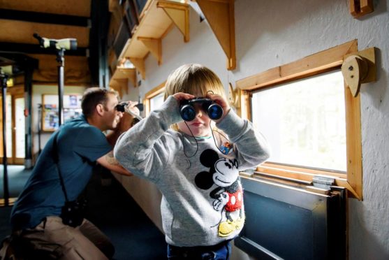 Testing binoculars at Loch Garten Osprey Centre by Helen Pugh (RSPB Images)