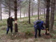 The National Trust for Scotland volunteers will be helping to safeguard woodland at the Mar Lodge Estate.
